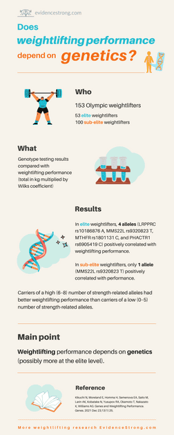 Does weightlifting performance depend on genetics?
